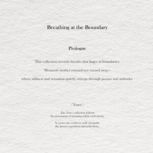 Breathing at the Boundary - Trace