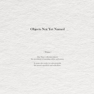 Objects Not Yet Named - Trace    [Open]