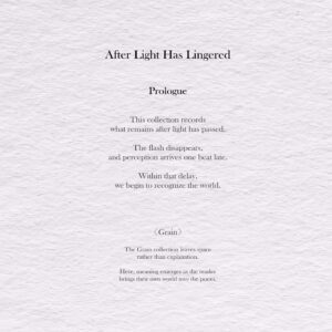 After Light Has Lingered - Grain