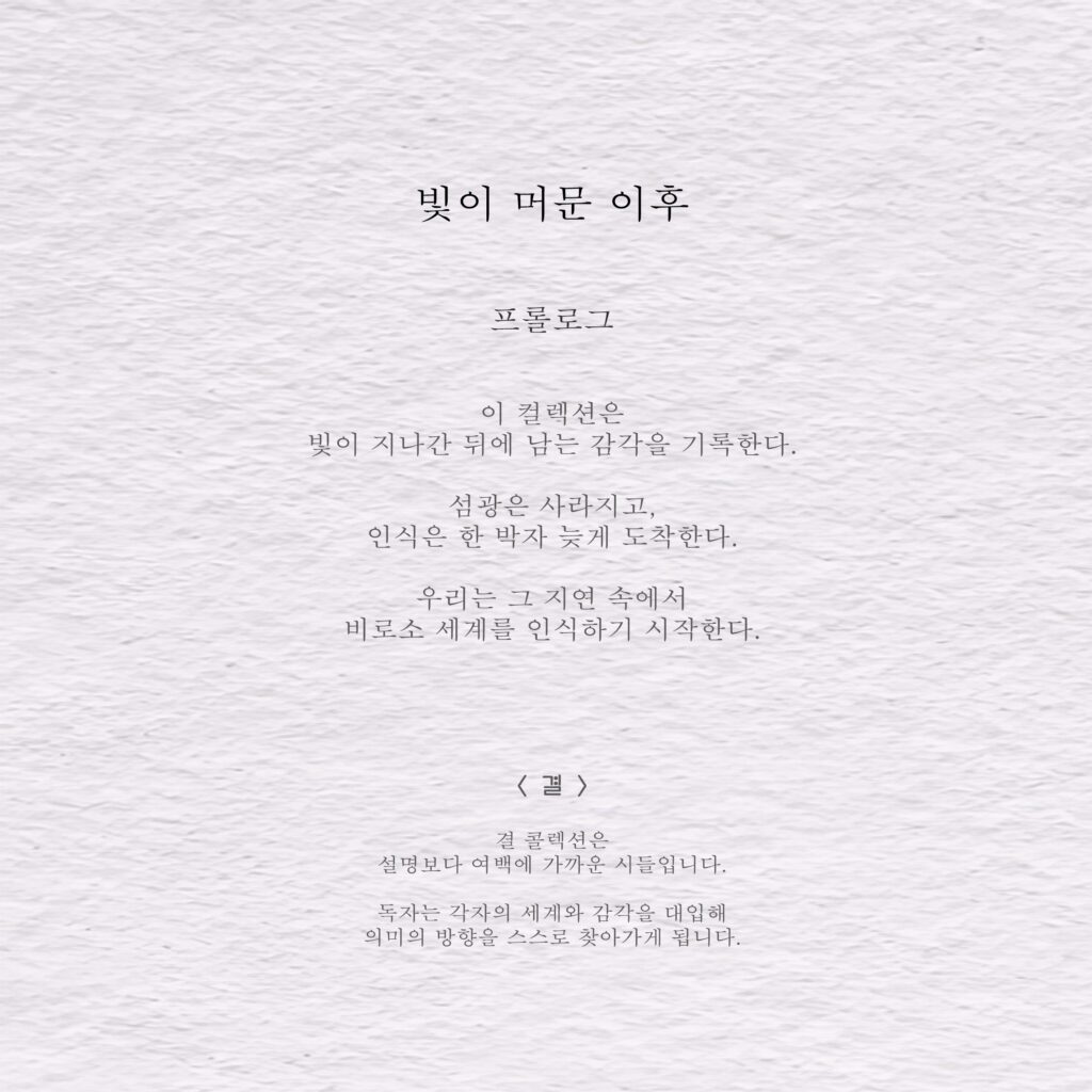 빛이 머문 이후 - 결