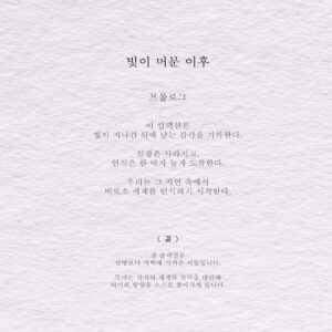 빛이 머문 이후 - 결