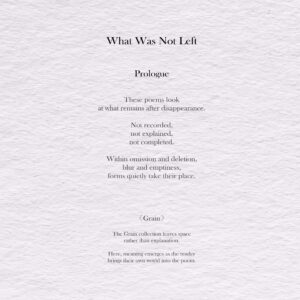 What Was Not Left - Grain